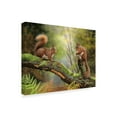 thumbnail image 2 of Trademark Fine Art 'Red Squirrels' Canvas Art by Nigel Artingstall, 2 of 3