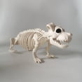 thumbnail image 1 of Halloween Skeleton Dog Prop Animal Bones Party Shop Decoration Horror, 1 of 5