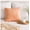 Peach, variant on 1800 Series Luxury Velvet Cushion Pillow, Soft Fur Filled Decorative Pillow for Couch & Bedroom Décor