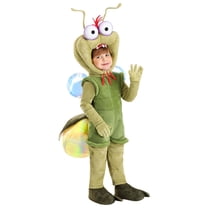 Toddler Deluxe Disney Princess and the Frog Ray Costume