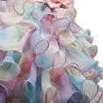 thumbnail image 5 of Little Girl Flower Rainbow Princess Tutu Dress Ruffle Tulle Wedding Birthday Pageant Party Formal Ball Gown, 5 of 6