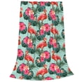thumbnail image 2 of Balery Palm Leaves Flamingo Manta de Felpa Suave y Acogedora – Cobija de Franela Aterciopelada para Cama, Lavable y Cálida para Sofá, Mascotas, Transpirable-80"x60", 2 of 7