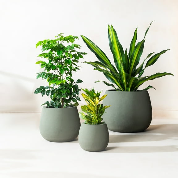 Fab Habitat Beryl Handmade Round Metal Planters in Verde / Sage Green – Set of 3 (8", 15", 19”) with Drainage Holes