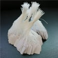 thumbnail image 4 of Injueey Etiquetas de papel de regalo DIY de 500 piezas, regalos colgantes, adornos multiusos, estilo Simple, Color sólido, etiquetas en Kits de experimentos de química, 4 of 6
