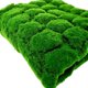 thumbnail image 1 of Zhuge Césped artificial de musgo de simulación, césped de pared sin mantenimiento, plantas verdes, césped para el hogar, decoración de paisaje de jardín (04,100 x 100 cm), 1 of 5