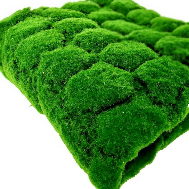 Zhuge Césped artificial de musgo de simulación, césped de pared sin mantenimiento, plantas verdes, césped para el hogar, decoración de paisaje de jardín (04,100 x 100 cm)