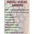 thumbnail image 2 of Pataua / Seje Fruit Oil Unrefined Organic Virgin Carrier Cold Pressed 100% Pure 8 oz, 2 of 7