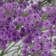 thumbnail image 5 of Pack de 3 flores artificiales de gypsophila - Ramo azul de aliento de bebé de 52 cm para bodas y decoración del hogar, flores de plástico que no se desvanecen, no hace falta agua, 5 of 6