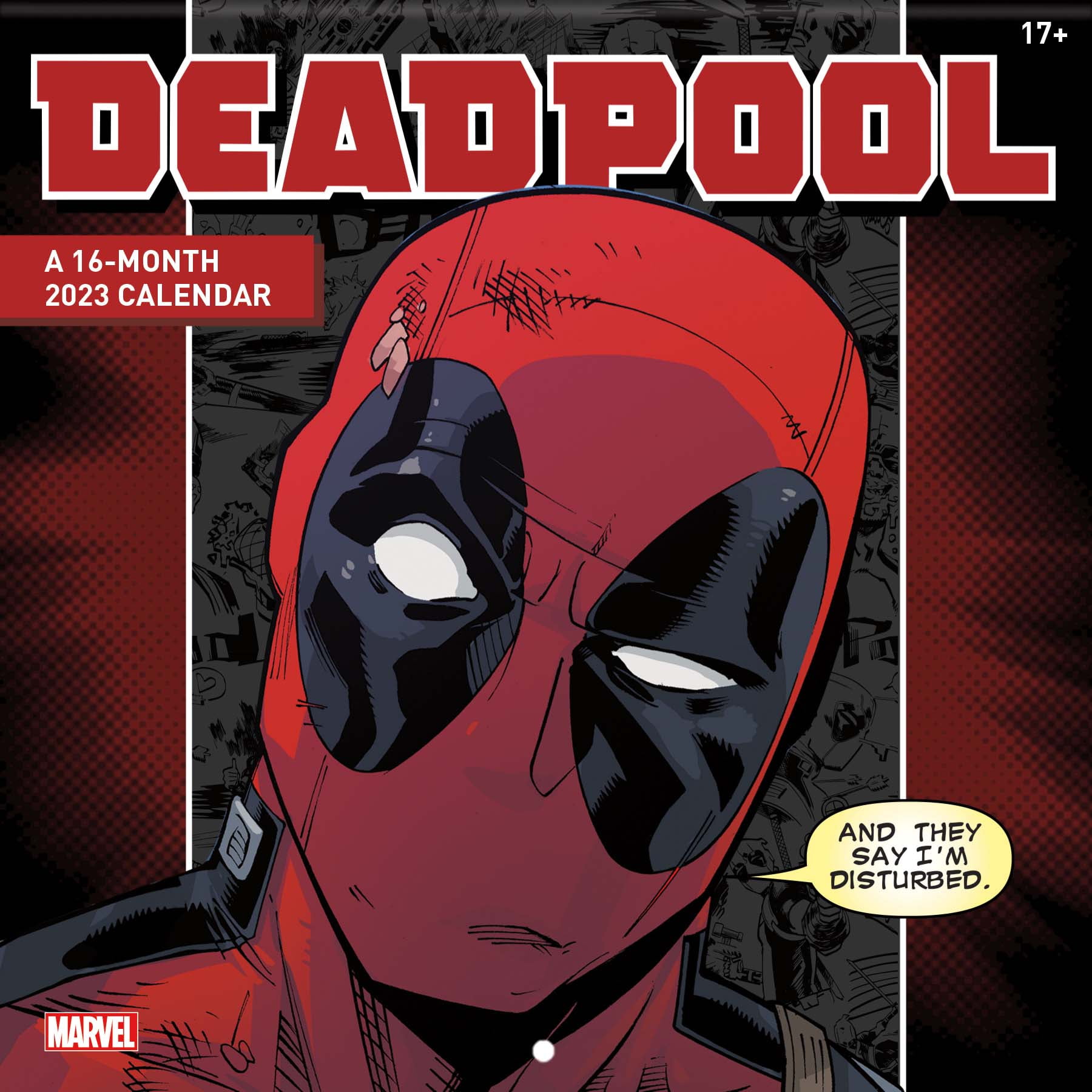 Wall Calendar: 2024 Marvel Deadpool Wall Calendar, 24x12in