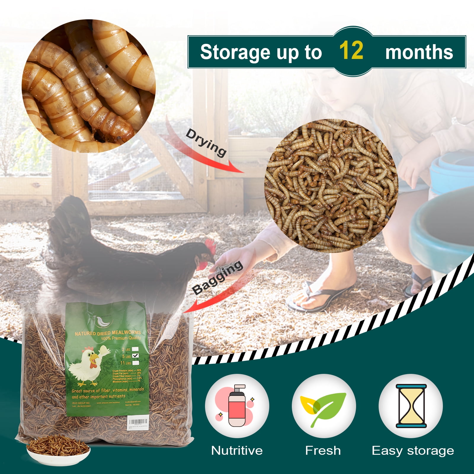 Buy Euchirus 5LB NonGMO Dried Mealworms, High Protein Bulk Mealworms