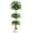 6FT, variant on Luku Artificial Ficus Tree with Real Wood Trunk, Faux Coil-Shaped Plant for Indoor Outdoor Home & Office