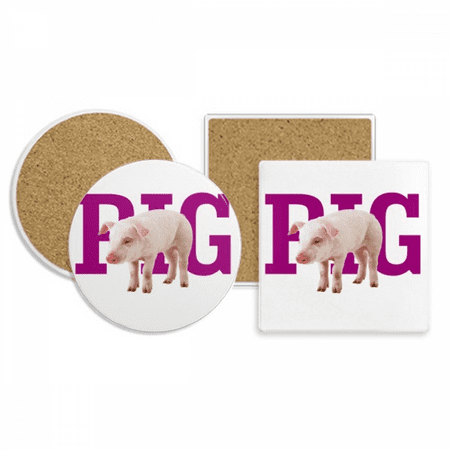 

Fashion Food Meat Coaster Cup Mug Holder Absorbent Stone Cork Base Set