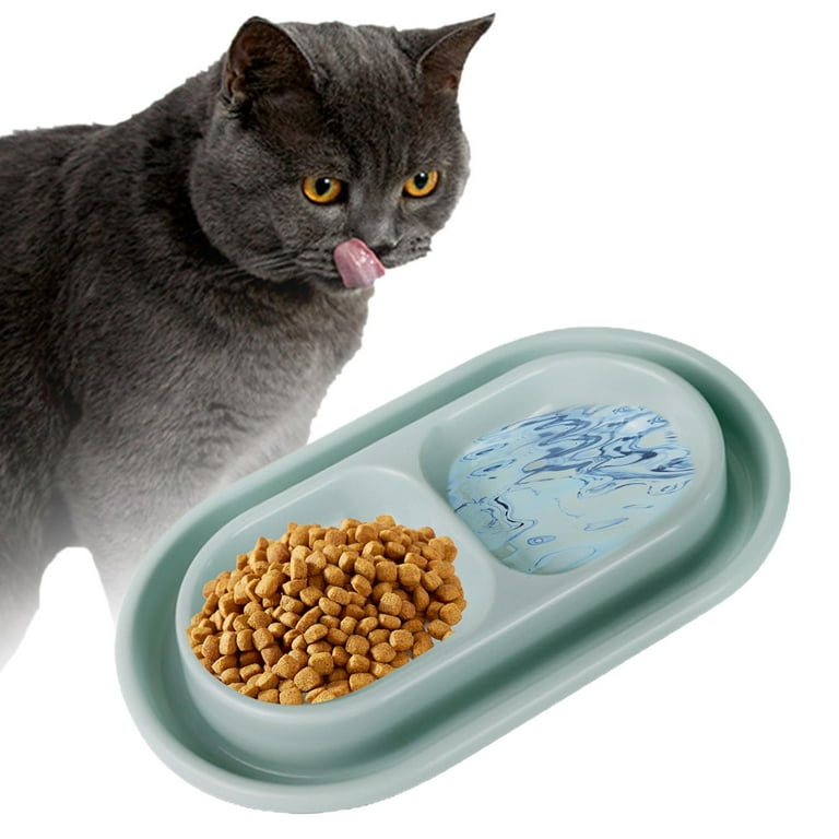 Cat bowl with water clearance moat