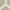 Grey/Ivory, variant on SAFAVIEH Chatham Greg Geometric Wool Area Rug, Grey/Ivory, 2' x 3'