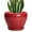Glossy Red, variant on Ordivic 6 Inch Blue Ceramic Planter Pots with Drainage Hole and Saucer, Glazed Flower Pot for Indoor Succulents and Herbs