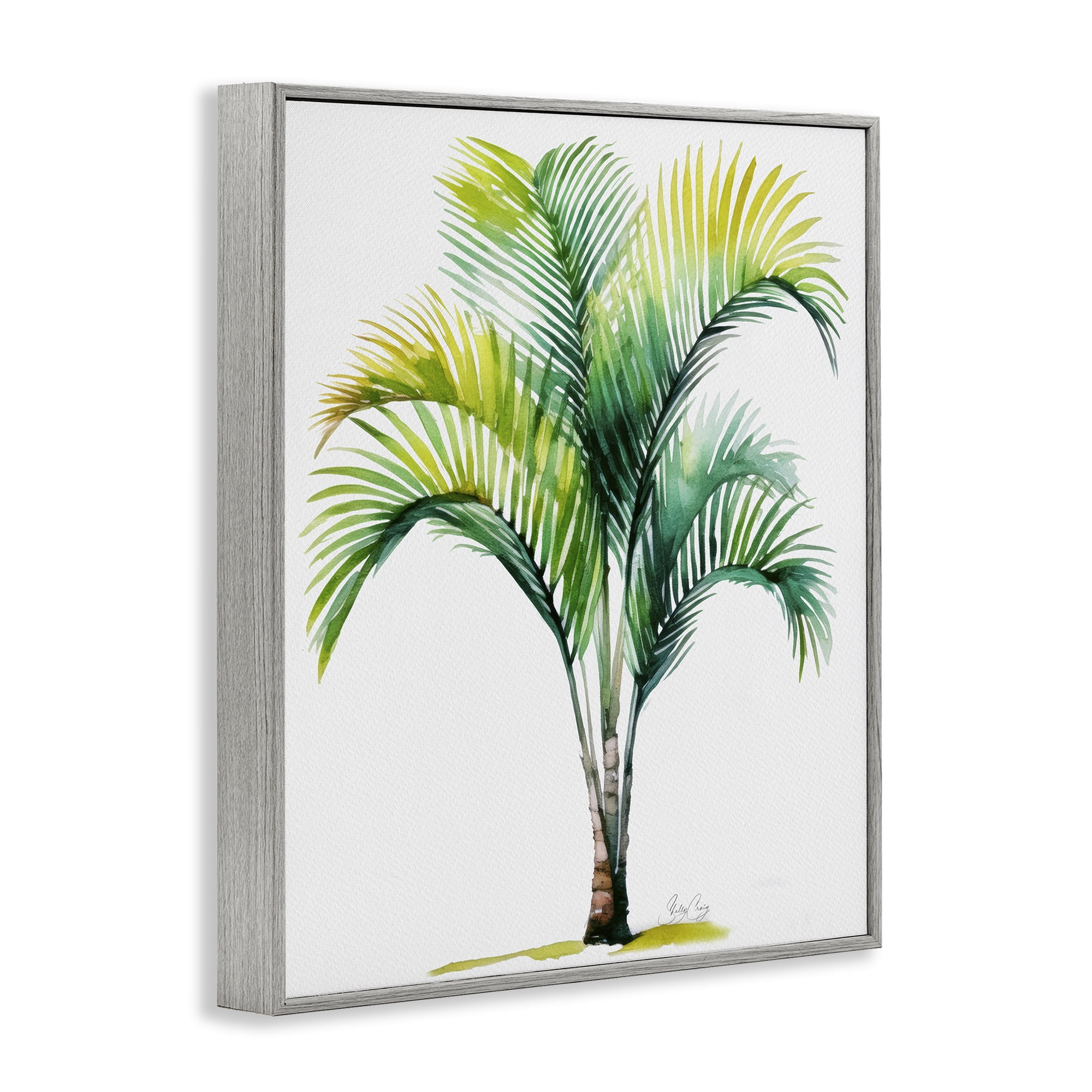 Stupell Industries Coastal Canopy Palm Tree Gray Framed Giclee Art, design by Shelly Craig