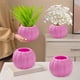 thumbnail image 4 of Maceta de Plástico con Forma de Calabaza | Jarrón Decorativo para Halloween y Acción de Gracias | Resistente y Ligero, En Azul, Rosa, Blanco, Rojo y Amarillo | Maceta para Interior y Exterior con Bas, 4 of 6