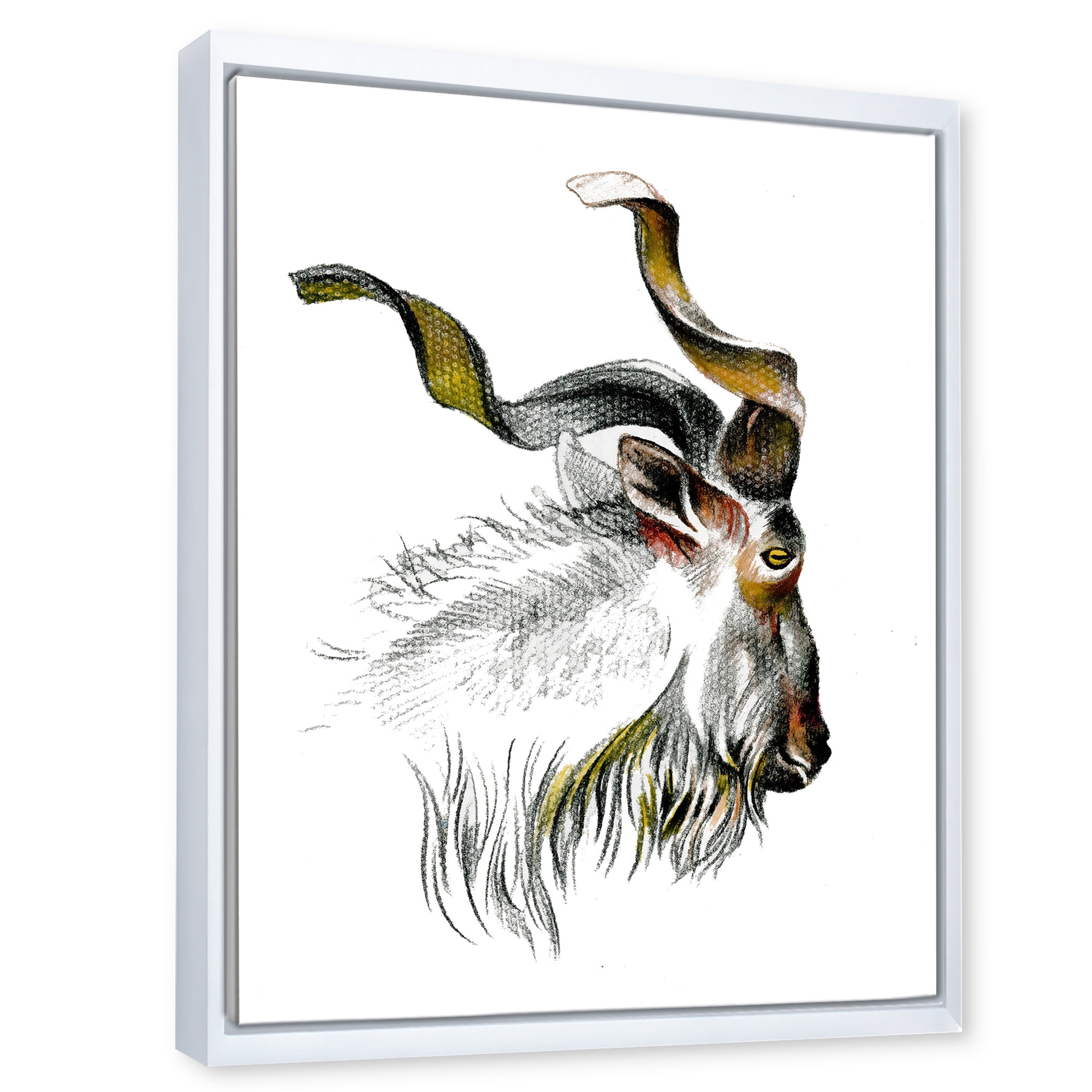 Black and White Portrait Of Goat II 30 in x 40 in Framed Painting Canvas Art Print, by Designart