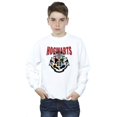 thumbnail image 3 of Harry Potter Boys Hogwarts Emblem Sweatshirt, 3 of 4