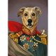 thumbnail image 1 of Taladro Pintura Diamante (DE5775) DIY 5D Mosaico Royal Pet Dogs Kit Redondo Completo (B533) 30x40cm FLhrweasw Nuevo, 1 of 1