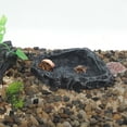 thumbnail image 3 of Plato de comida para reptiles Unique Bargains de resina, plato de comida para lagartos, tazón de agua para tortugas 4.72"x3.74"x0.98" Negro, 3 of 6