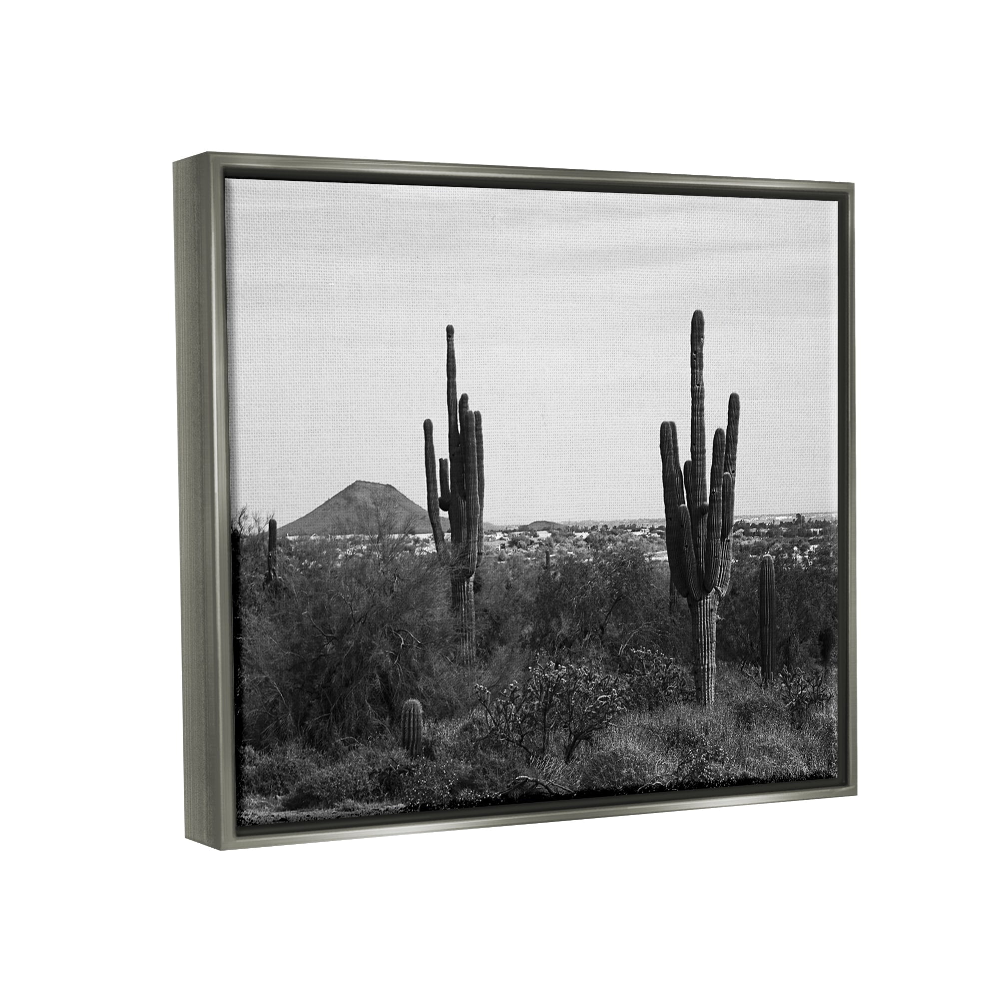 Stupell Industries Desert Cactus Arid Vegetation Monochrome Nature Photography Photograph Luster Gray Floating Framed Canvas Print Wall Art, Design by Graffitee Studios