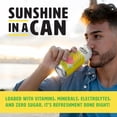 thumbnail image 3 of Shine Water Tropical Lemonade Vitamin D Electrolyte Drinks 12-Pack, Sugar Free Flavored Water with Magnesium, Zinc & Antioxidants, Low Calorie Hydration, 3 of 7