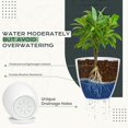 thumbnail image 3 of Macetas Utopia Home para interiores con drenaje, paquete de 10 unidades, color blanco, 3 of 6