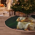 thumbnail image 5 of Xecao Squirrels Eating Peanuts On The Tree Pattern Christmas Tree Skirt Round Xmas Tree Mat Base Cover for Holiday Home Decorations-30", 5 of 6