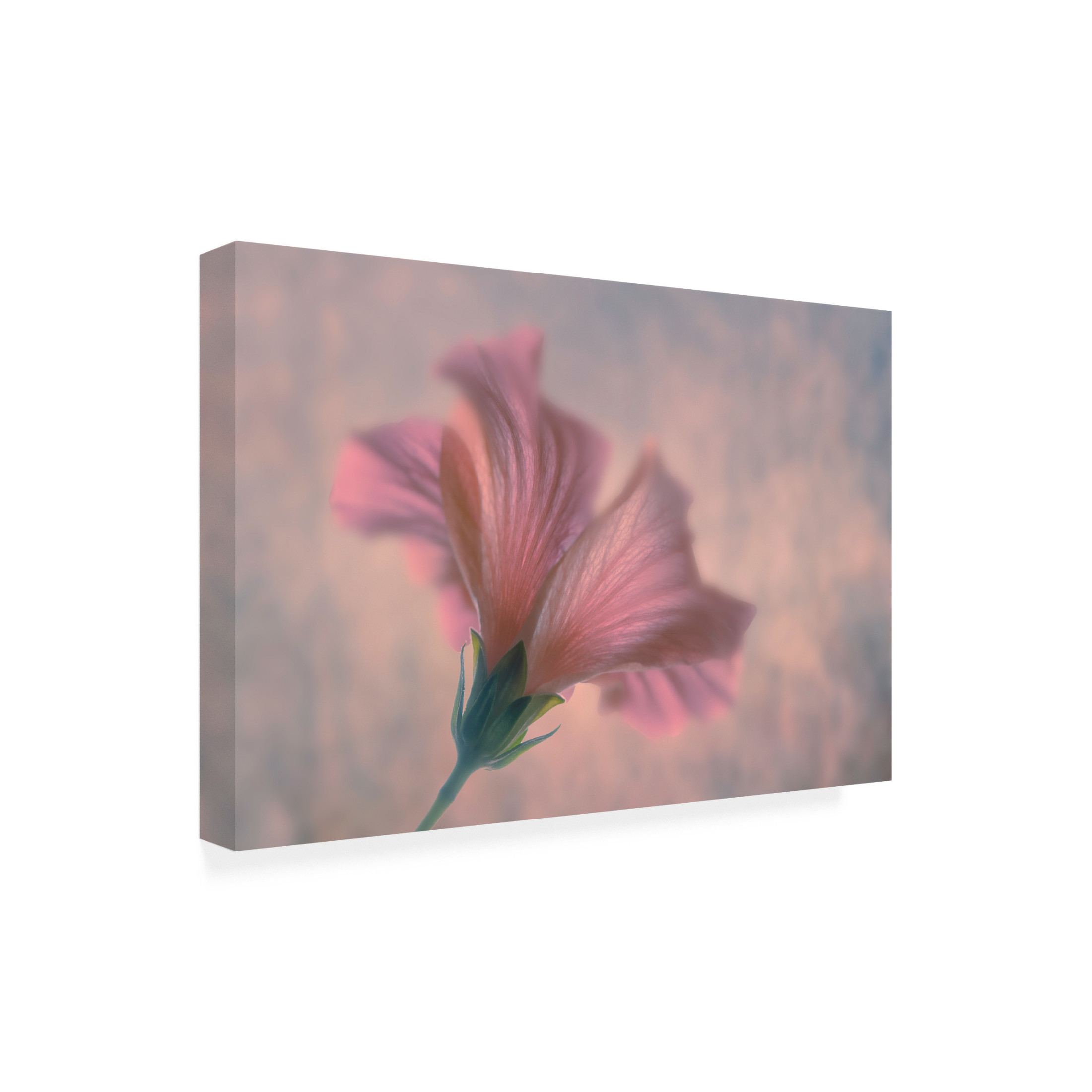 Trademark Fine Art Clear Water Dancing Canvas Wall Art