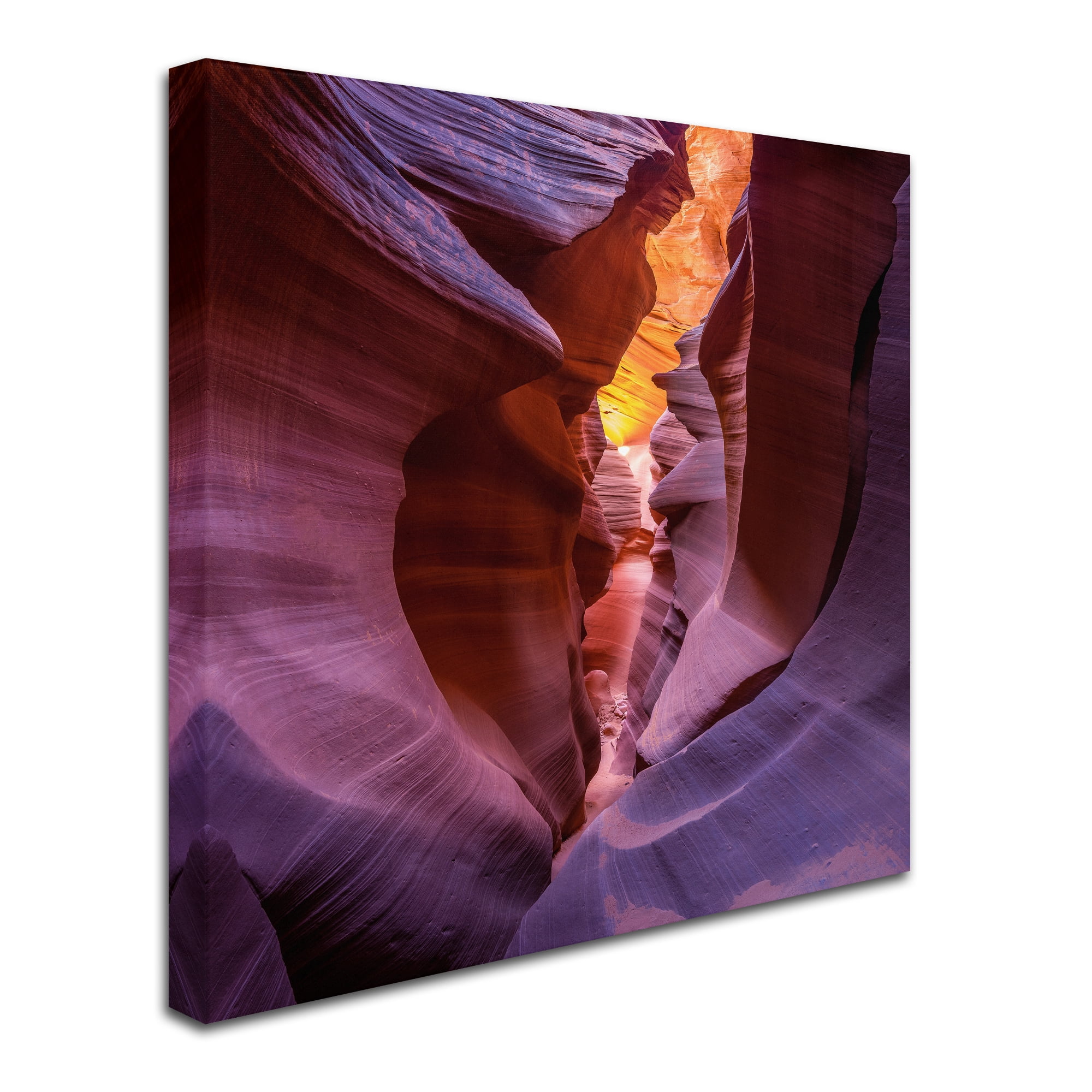 Sandipan Biswas 'Fire In Canyon' Canvas Art