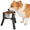 Black-S, variant on Adjustable Raised Dog Bowl Stand for Large Dogs, Single Raised Feeder Station (Bowl Not Included)