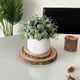 thumbnail image 4 of Artificial Plant Pot, Small Potted Decoration, Living Room Countertops Windowsills, Desktop Greenery, Home Decor, Artificial Plants for Home, Realistic Touch, Stylized Design, High Traffic Plants,, 4 of 9