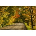thumbnail image 2 of Posterazzi DPI12286499 Country Road in Autumn - West Bolton Quebec Canada Poster Print by David Chapman, 19 x 12, 2 of 4