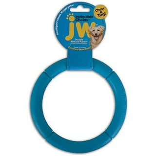 Pet Supplies : Dog Toys Small : JW Pet Company 43505 Treat Tower Toys for  Pets, Small, White/Rings of Blue, Orange, Green 