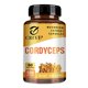 thumbnail image 3 of Extracto de hongo Cordyceps: suplemento cerebral para la memoria, la concentración, el alivio del estrés y un mejor estado de ánimo - 120 cápsulas, 3 of 5