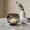 Clear, variant on WOHAPY Upgrade Modern Minimalist Glass Vase, Dual-Use Flower & Candle Holder, Clear Brown Decorative Vase, 6.30x6.30x5.51in Clear