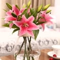 thumbnail image 5 of 8 Pcs Artificial Lily Real Touch Easter Lily Spring Flowers for Wedding Home Easter Decoration Plastic Tiger Lily Faux Flowers (Pink, 8), 5 of 5