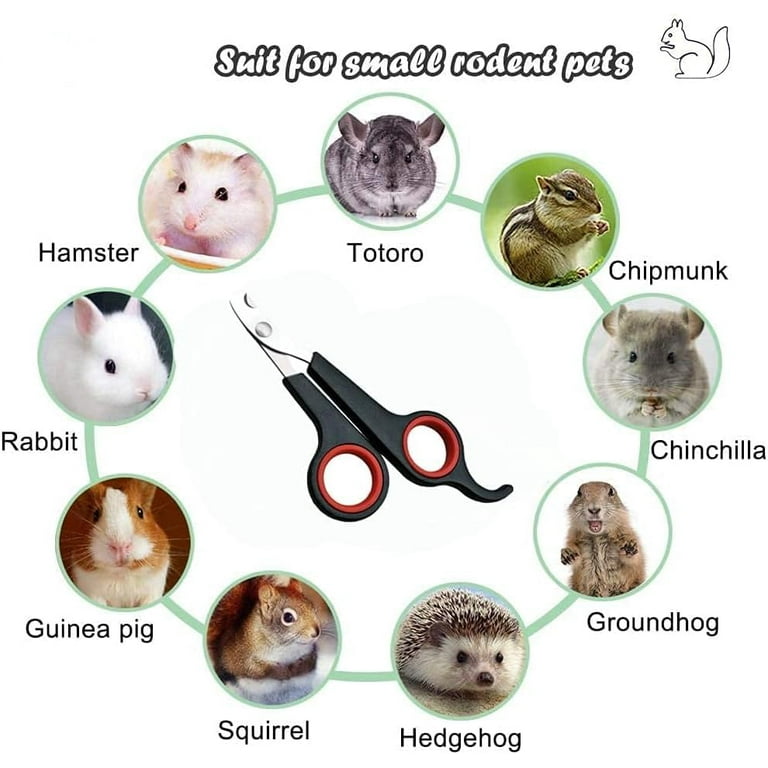 Best nail clippers for guinea pigs deals