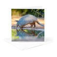 thumbnail image 5 of 3drose, Nine-banded Armadillo, Dasypus Novemcinctus, Drinking, 6 Greeting Cards with Envelopes, 5 of 7