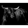 thumbnail image 2 of Chapman, Julie T. 14x12 White Modern Wood Framed Museum Art Print Titled - Brindle Rodeo Bull, 2 of 4