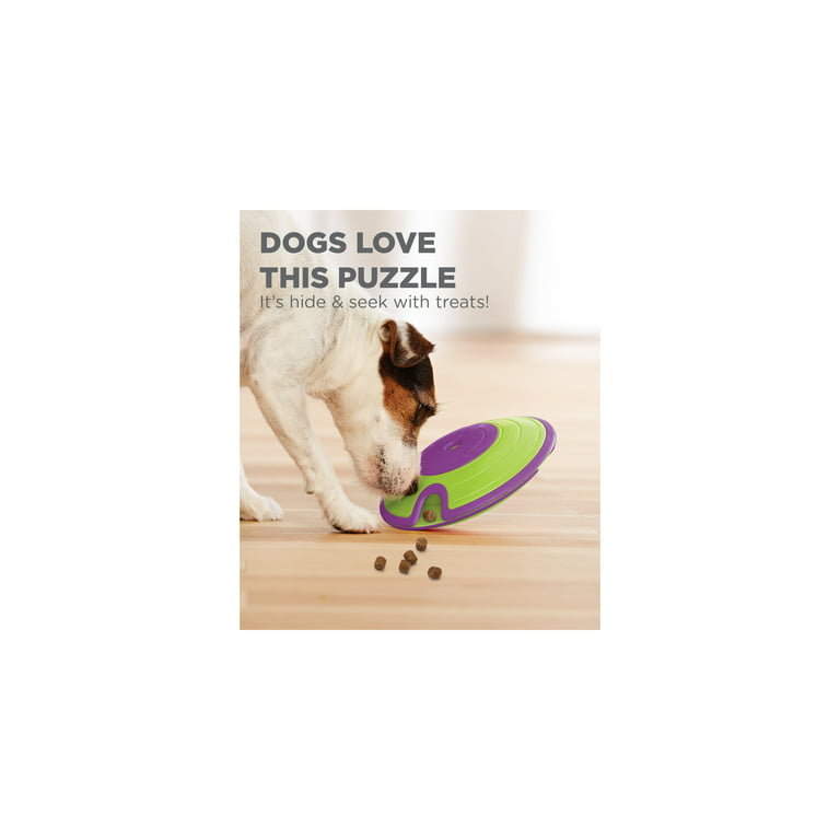 Nina Ottosson by Outward Hound Treat Maze Interactive Puzzle Dog Toy,  Green, One-Size 