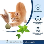 Feathered Catnip Mint Toys (3pc)
