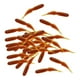 thumbnail image 1 of Worms de pesca señuelos Crankbait Equipo de pesca señuelos swinging portátiles señuelos de pesca para salmón de agua salada Lago al aire libre Rojo 30x 40 mm0.42g, 1 of 8