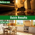 thumbnail image 7 of RodentRepellent with Peppermint Oil-Mouse, Squirrel & Rat Deterrent for Car Engines, Garage, Attic Long-Lasting Mole/Mice Control Indoor Outdoor Safe vs Moth Balls Traps (10 Pack), 7 of 7
