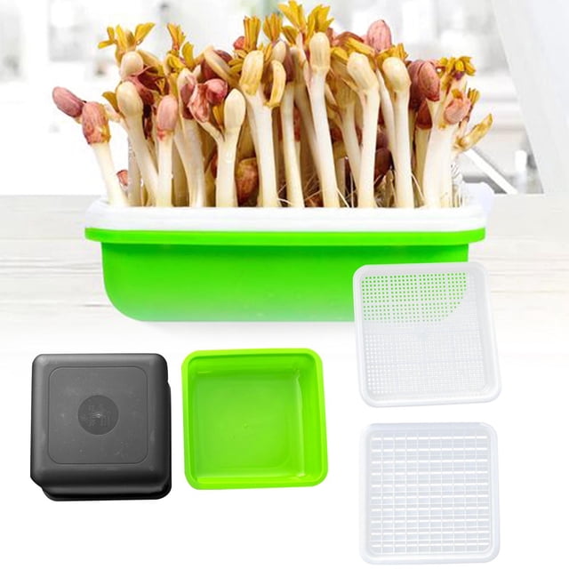 Estuche para brotes de maní, plato para brotes, macetero para verduras, práctica maceta para vivero, bandeja para brotes para invernadero interior y 4 piezas