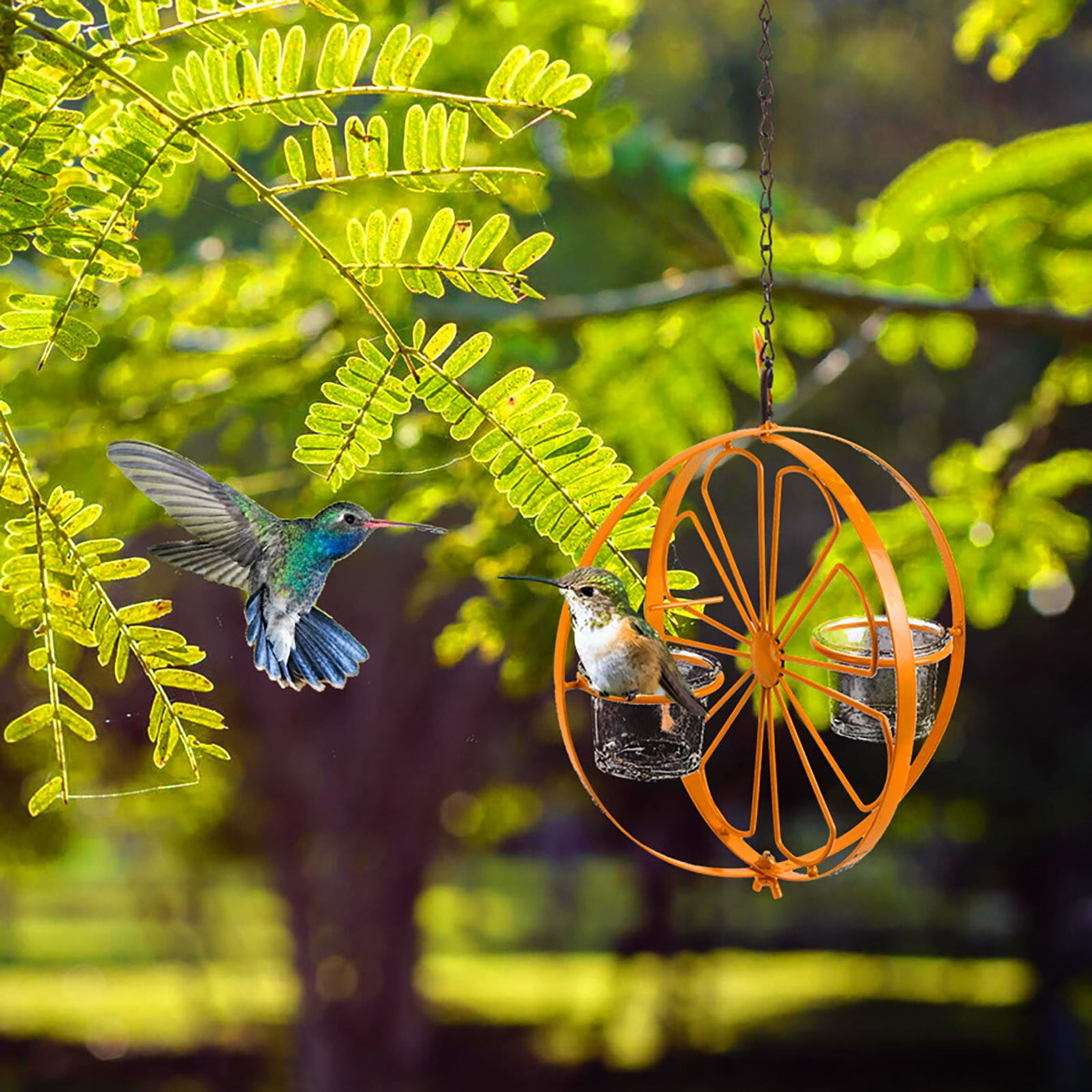 Bird Feeders Oriole Feeder for Outdoors Feeder with Jelly and Orange Fruit Feeding Station for Garden