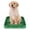 Green, variant on Indoor Dog Potty Tray with Removable Mesh Toilet and Stable Structure for Puppy Training Pad Holder