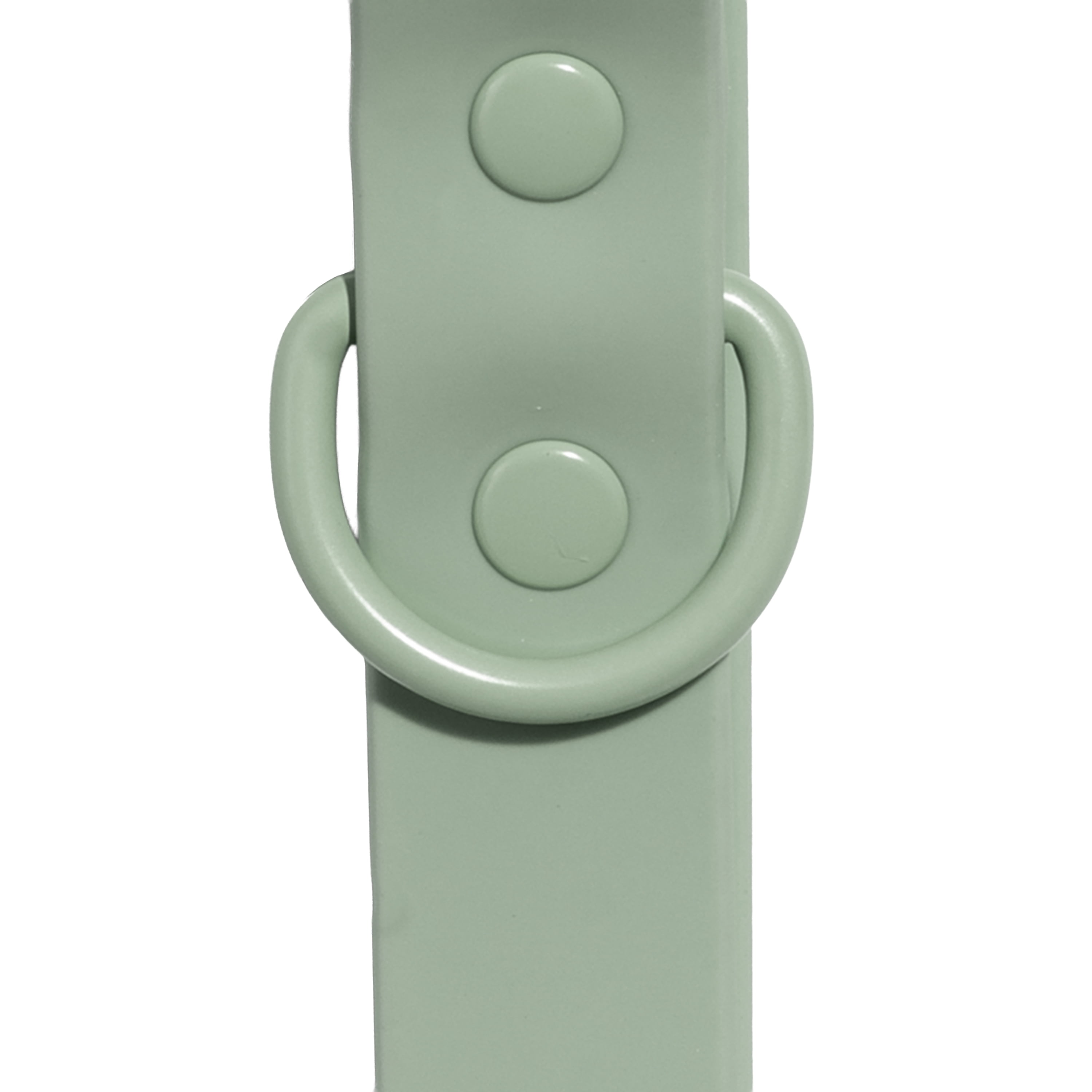 Vibrant Life Water Resistant Adjustable Dog Collar, Sage Green, S