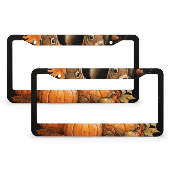 Squirrel Pumpkins Maple Leaves License Plate Frame 2 Pcs Set Seasonal Fall Harvest Auto Decorative Frames Cars Protector Cover Holder for Men/Women 2 Hole Quality Aluminum License Plate Cover